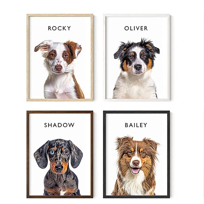 E! Insider Shop, Amazon Pet Art